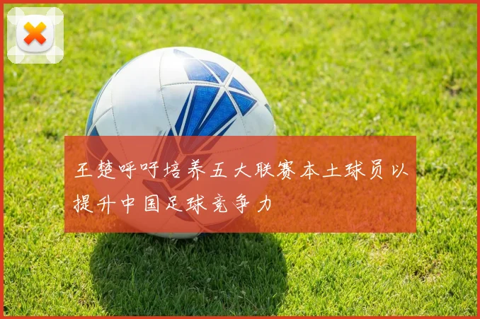 王楚呼吁培养五大联赛本土球员以提升中国足球竞争力